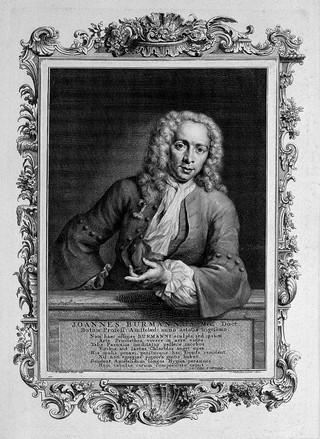 Portrait of Joannes Burmann