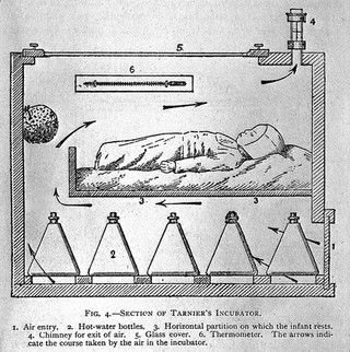 The nursling; the feeding and hygiene of premature and full-term infants / [Pierre Budin].