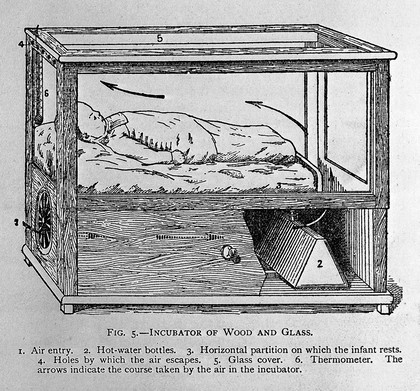 The nursling; the feeding and hygiene of premature and full-term infants / [Pierre Budin].