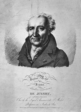 Antoine Laurent de Jussieu. Lithograph by J. Boilly, 1820.