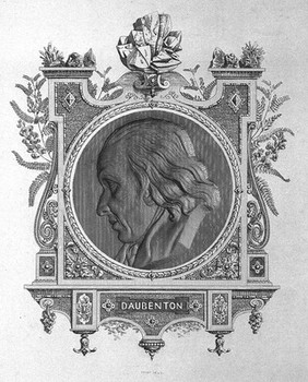 Louis-Jean-Marie Daubenton. Line engraving by A. Féart, 1854, after himself.