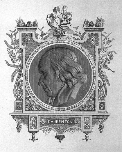 Louis-Jean-Marie Daubenton. Line engraving by A. Féart, 1854, after himself.