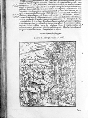 Les œuures d'Ambroise Paré, conseiller, et premier chirurgien du roy : Diuisees en vingt sept liures, auec les figures et portraicts, tant de l'anatomie que des instruments de chirurgie, et de plusieurs monstres.