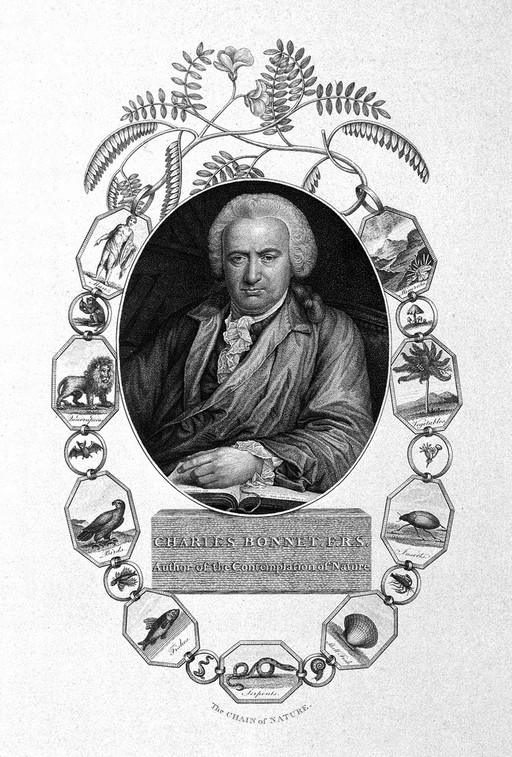 Portrait of Charles Bonnet