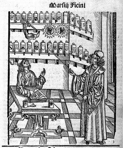 Medicinarius. Das Buch der Gesuntheit. Liber de arte distillandi simplicia et composita. Das nüv Büch d' rechtē Kunst zü distillieren / Büch von Marsilio Ficino und anderer hochberöpmter Artzte natürliche und güte Kunst zü behalten den gesunden Leib und züvertryben die Kranckheit mit Erlengerung des Lebens.