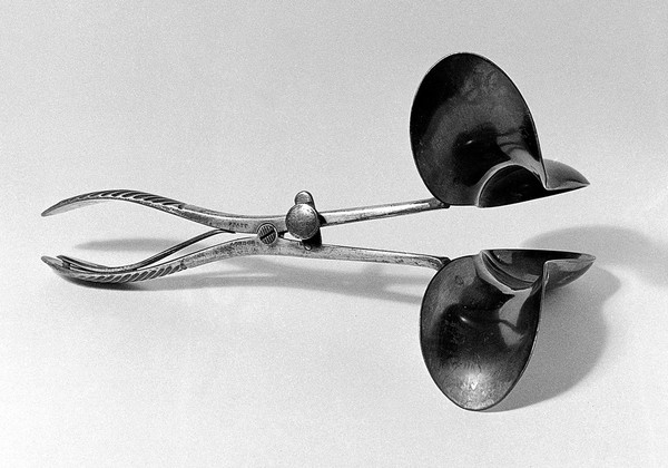 Double spoon-bowl obstetric speculum