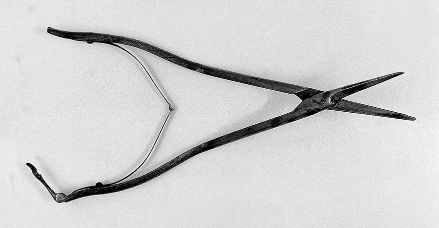 Obstetrics, Barnes, A modified pair of scissors.