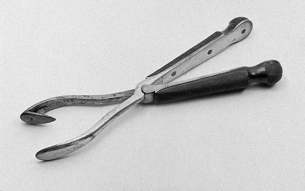 David Davis's craniotomy forceps, guarded body crotchet