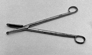 view Obstetrics, Simpson's osteomes or scissors.