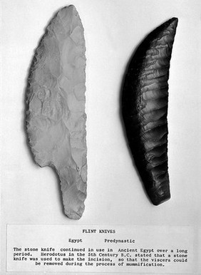 Egyptian and Predynastic flint knives