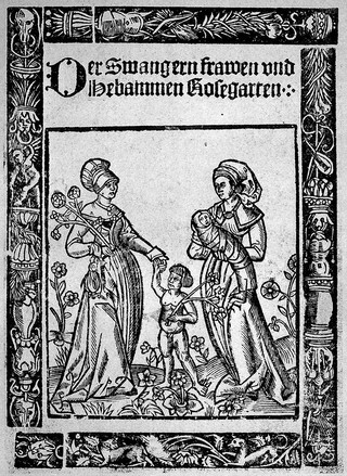 Eucharius Rösslin's "Rosengarten" : gedruckt im jahre 1513 / Begleit-text von Gustav Klein.