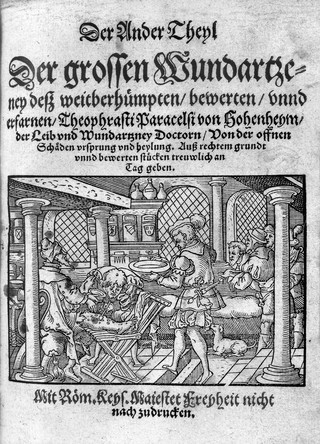 Paracelsus, Der ander Theyl der grossen