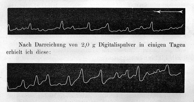 Vorlesungen über Pharmakologie für Ärzte und Studirende / von C. Binz.