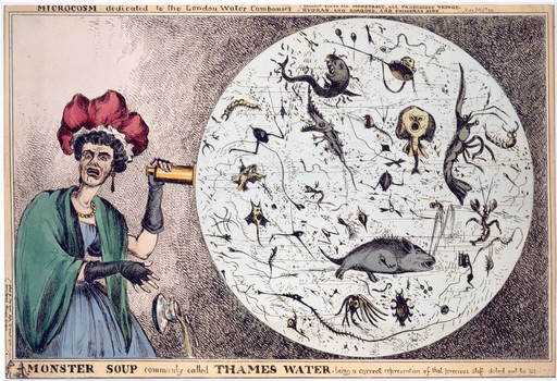 Engraving: 'Monster Soup..." by William Heath