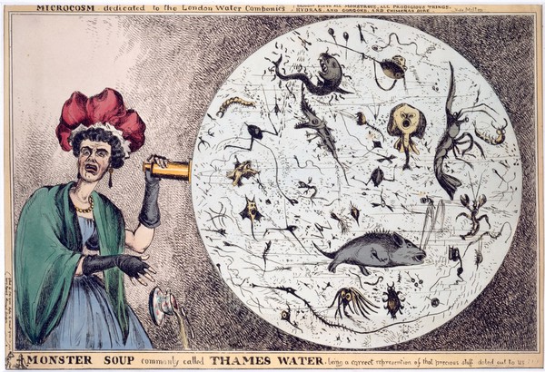 A woman dropping her porcelain tea-cup in horror upon discovering the monstrous contents of a magnified drop of Thames water; revealing the impurity of London drinking water. Coloured etching by W. Heath, 1828.