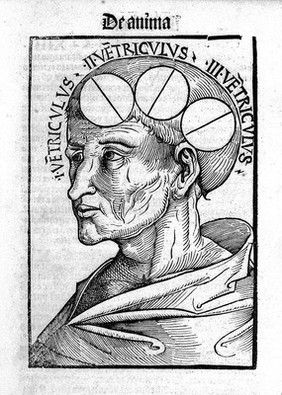 Philosophia naturalis / [Albertus].