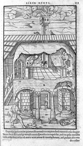 De re metallica libri XII. Quibus officia, instrumenta, machinae, ac omnia denique ad metallicam spectantia, non modo luculentissime describuntur, sed et per effigies ... adjunctis latinis germanicisque appellationibu ita ob oculos ponuntur, ut clarius tradi non possint. Ejusdem de animantibus subterraneis liber ... Cum indicibus diversis / [Georg Agricola].