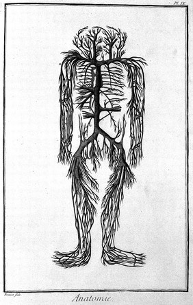 [Encyclopédie, ou dictionnaire raisonné des sciences, des arts et des métiers] / par une sociéte de gens de lettres. Recueil de planches sur les sciences, les arts libéraux et les arts méchaniques, avec leur explication. [Anon].