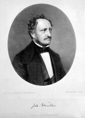 Johannes Mueller. Lithograph by P. Rohrbach, 1858, after S. Friedländer, 1857.