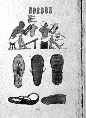 The book of the feet, a history of boots and shoes. With illustrations of the fashions of the Egyptians, Hebrews, Persians, Greeks and Romans, and the prevailing style throughout Europe during the Middle Ages down to the present period; Also hints to last makers and remedies for corns, etc., etc / J. Sparkes Hall.