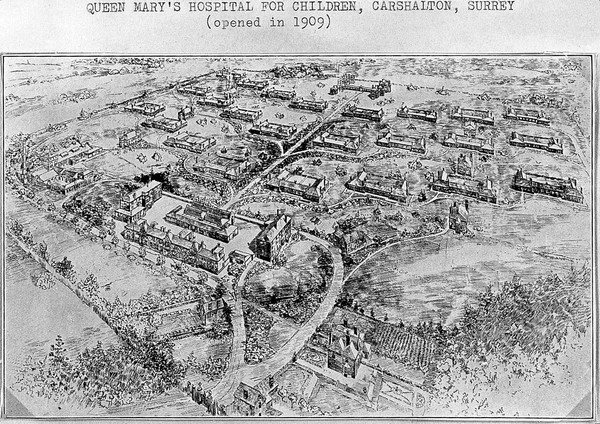 The Metropolitan Asylums Board and its work, 1867-1930 / compiled by Sir Allan Powell.