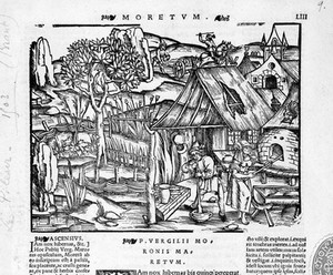 view An apothecary grinding a mixture with his pestle and mortar, amidst a working town. Woodcut by Brant(?).