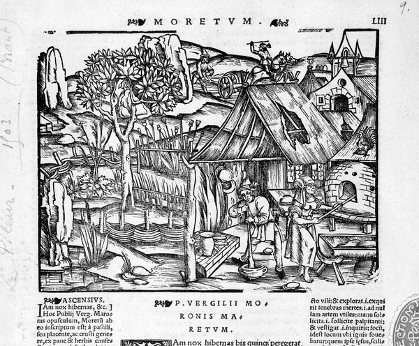 An apothecary grinding a mixture with his pestle and mortar, amidst a working town. Woodcut by Brant(?).