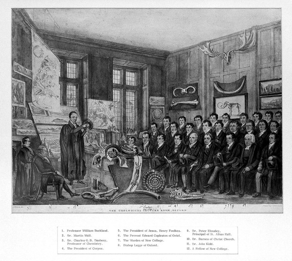 Scholars attending a lecture in the Ashmolean Museum, Oxford. Coloured lithograph printed by C. Hullmandel after N. Whittock.