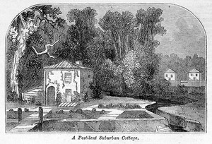 view A pestilent suburban cottage. A house in the Old Kent Road where cholera, diphteria and fever had all occured. It was surrounded by a foul ditch and on one side a stagnant pool.