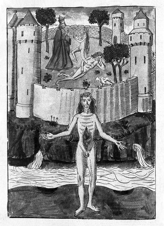Liber de proprietatibus rerum / Bartholomei anglici.