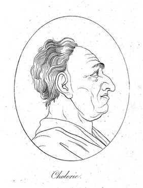 Essays on physiognomy; for the promotion of the knowledge and the love of mankind / Written in the German language by John Caspar Lavater, and translated [from the German] into English by Thomas Holcroft.