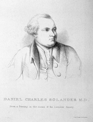 Daniel Charles Solander. Lithograph by Miss Turner after J. Zoffany.