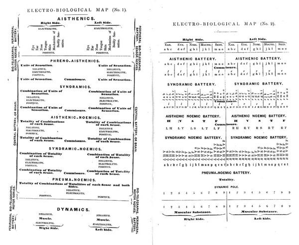 Elements of electro-biology, or the voltaic mechanism of man; or electro-pathology, especially of the nervous system; and of electro-therapeutics / By Alfred Smee.