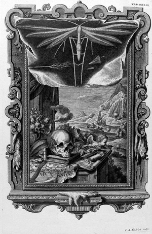 view Scheuchzer, 1731-33: memento mori
