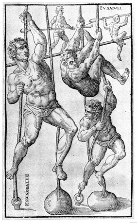 De arte gymnastica libri sex. In quibus exercitationum omnium vetustarum, genera, loca modi, facultates et quicquid denique ad corporis humani exercitationes pertinet, diligenter explicatur / [Girolamo Mercuriale].