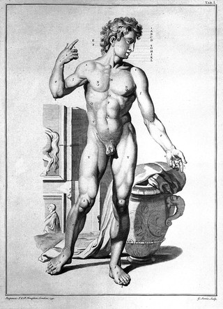 Tables of the skeleton and muscles of the human body ... / Translated from the Latin.