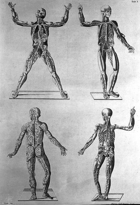 Tables of the skeleton and muscles of the human body ... / Translated from the Latin.