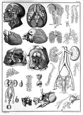 Tables of the skeleton and muscles of the human body ... / Translated from the Latin.