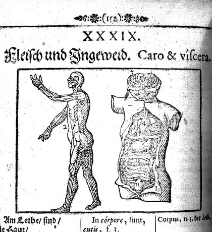 Die sichtbare Welt. Orbis sensualium pictus. Il mondo visibile. Le monde visible / Edited by Bl. Teppati.