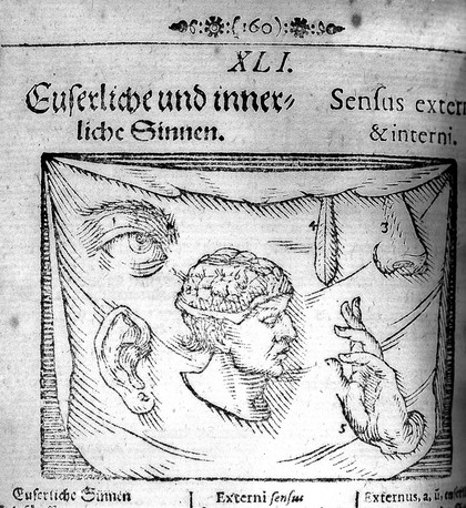 Die sichtbare Welt. Orbis sensualium pictus. Il mondo visibile. Le monde visible / Edited by Bl. Teppati.