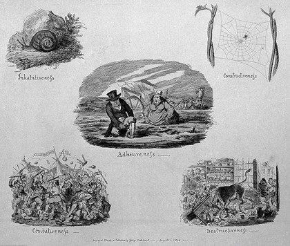 Phrenological propensities: adhesiveness, inhabitiveness, constructiveness, combativeness, destructiveness; illustrated by a couple stuck in a bog, a snail in its shell, a spider in its web, a huge brawl, a bull in a china shop. Etching by G. Cruikshank, 1826.