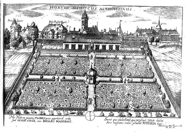 Florae Altdorffinae deliciae hortenses, sive catalogus plantarum horti medici quibus auctior erat A.C. MDCLX. ... / [Moritz Hoffmann].