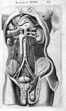 T. Bartholin, instrumenta urinaria