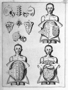 Syntagma anatomicum. Locis plurimis actum, emendatum ... / [Johann Vesling].