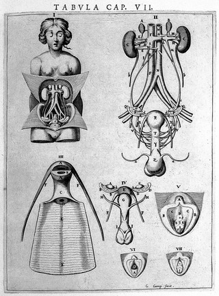 Syntagma anatomicum. Locis plurimis actum, emendatum ... / [Johann Vesling].