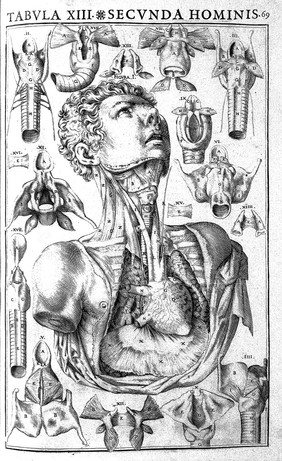 Julii Casserii Placentini ... De vocis auditusque organis historia anatomica singulari fide methodo ac industria concinnata tractatibus duobus explicata ac variis iconibus aere excusis illustrata / [Giulio Cesare Casseri].