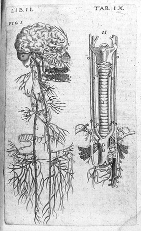 Theatrum anatomicum / novis figuris aeneis illustratum, et in lucem emissum opera et sumptibus Theodori de Bry.