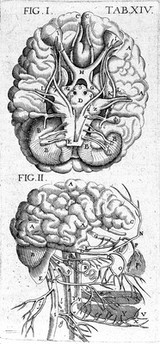 Theatrum anatomicum / novis figuris aeneis illustratum, et in lucem emissum opera et sumptibus Theodori de Bry.