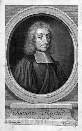 John Ray. Line engraving by G. Vertue, 1713, after W. Faithorne.