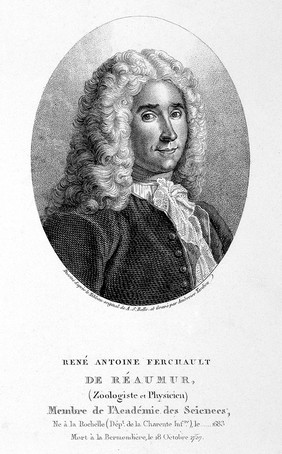 René-Antoine Ferchault de Réaumur. Stipple engraving by A. Tardieu after A. S. Belle.